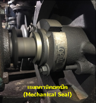 แมคคานิคอลซีล แมคคานิคอลซีล