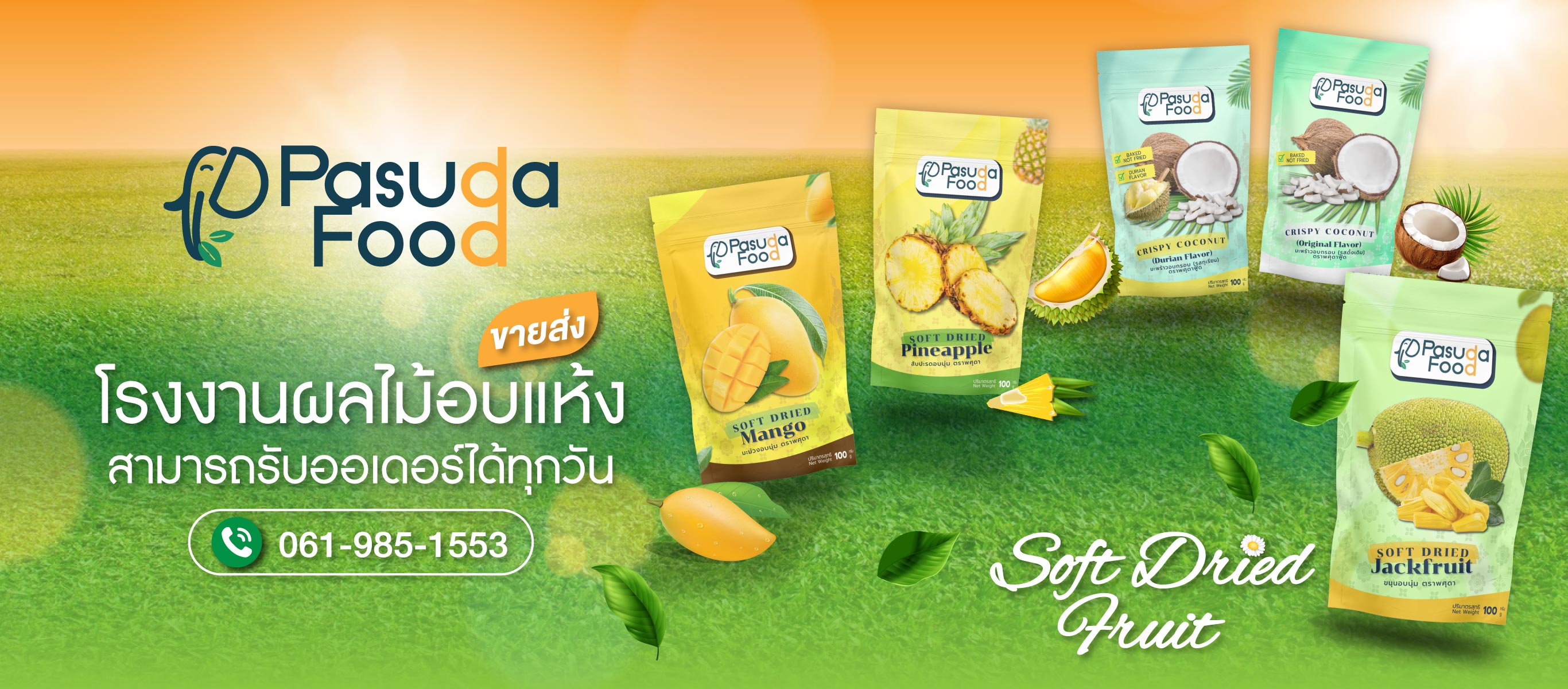 โรงงานผลไม้อบแห้ง-ขายส่ง