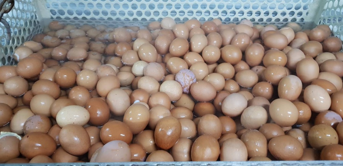 รับต้มไข่ไก่แก้บน กรุงเทพ