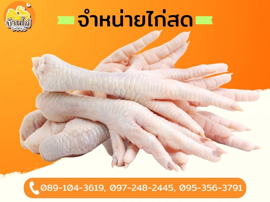 ขายส่งชิ้นส่วนเนื้อไก่ ราคาไม่แพง