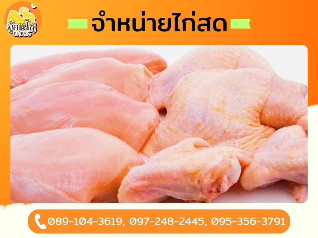 โรงงานขายเนื้อไก่อนามัย