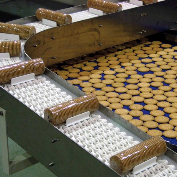 ตัวแทนจำหน่าย MODULAR BELT Conveyor