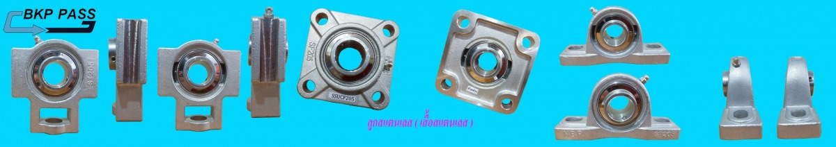 จำหน่ายตลับลูกปืนและตุ๊กตาลูกปืน NBR 