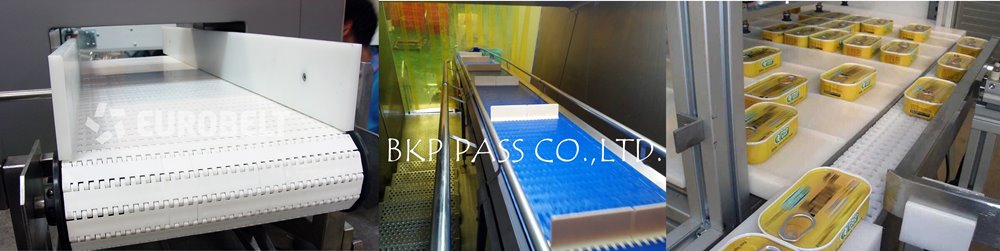 EUROBELT Plastic modular belt