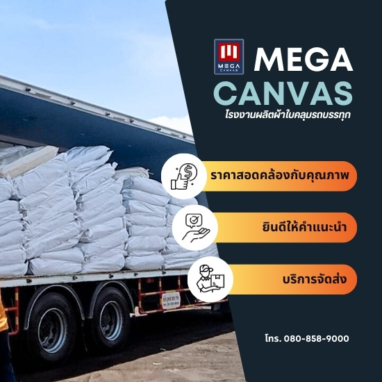MEGA CANVAS