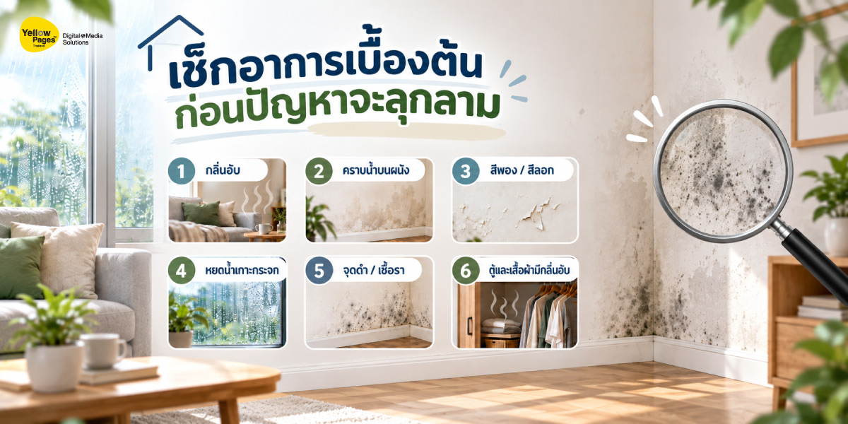 บ้านมีปัญหาผนังชื้น กลิ่นอับ และเชื้อราในช่วงหน้าฝน