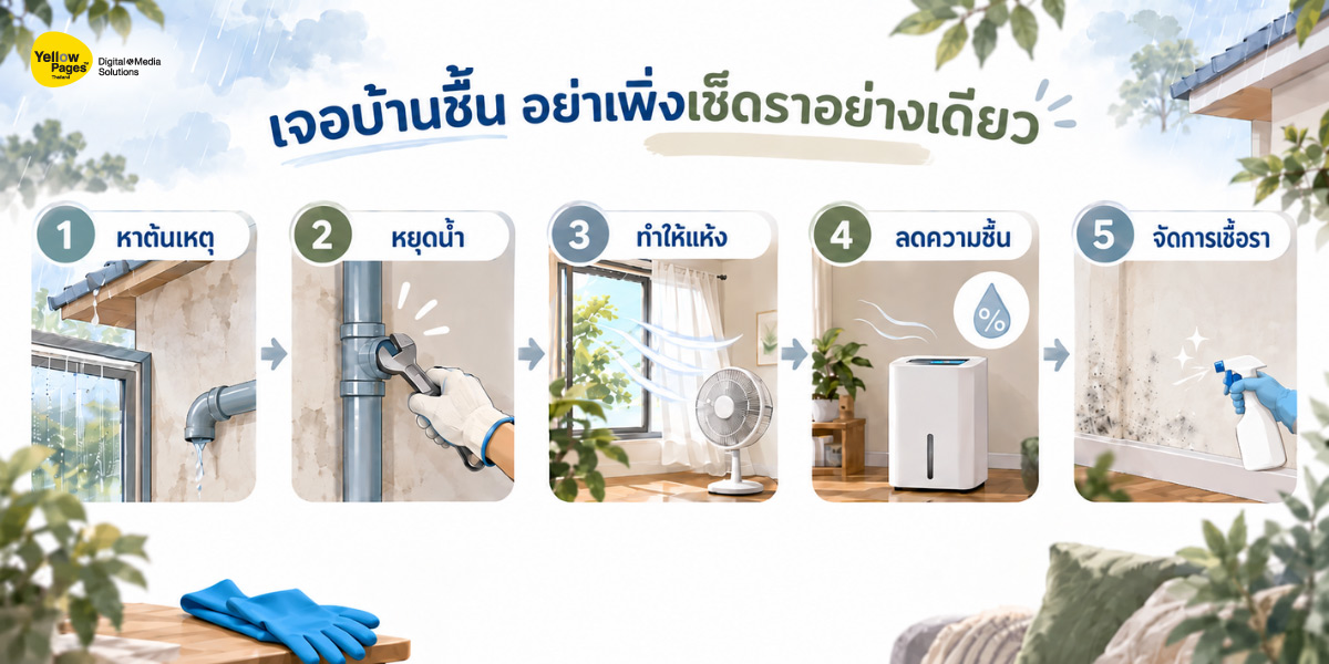 บ้านมีปัญหาผนังชื้น กลิ่นอับ และเชื้อราในช่วงหน้าฝน