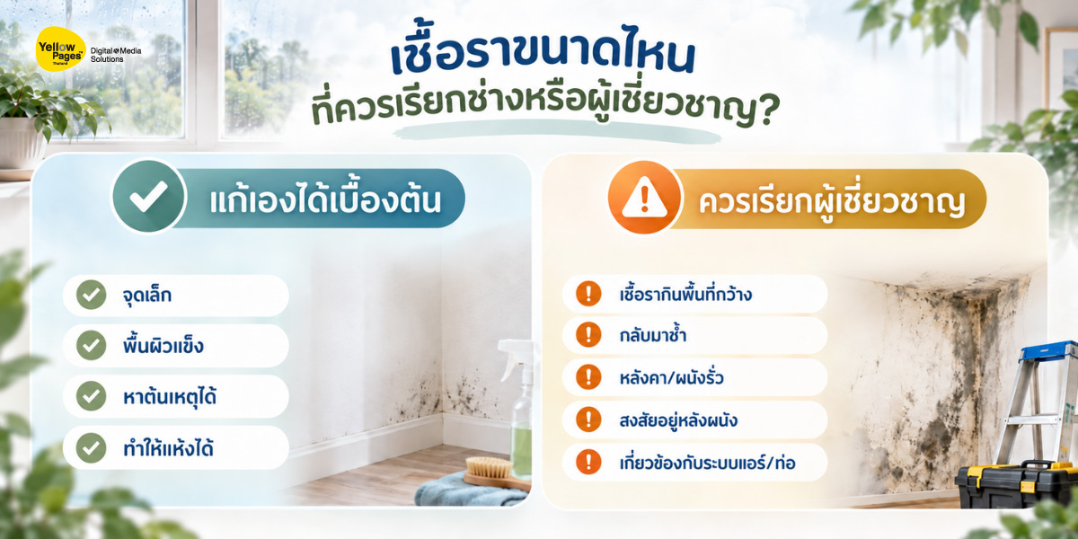 บ้านมีปัญหาผนังชื้น กลิ่นอับ และเชื้อราในช่วงหน้าฝน